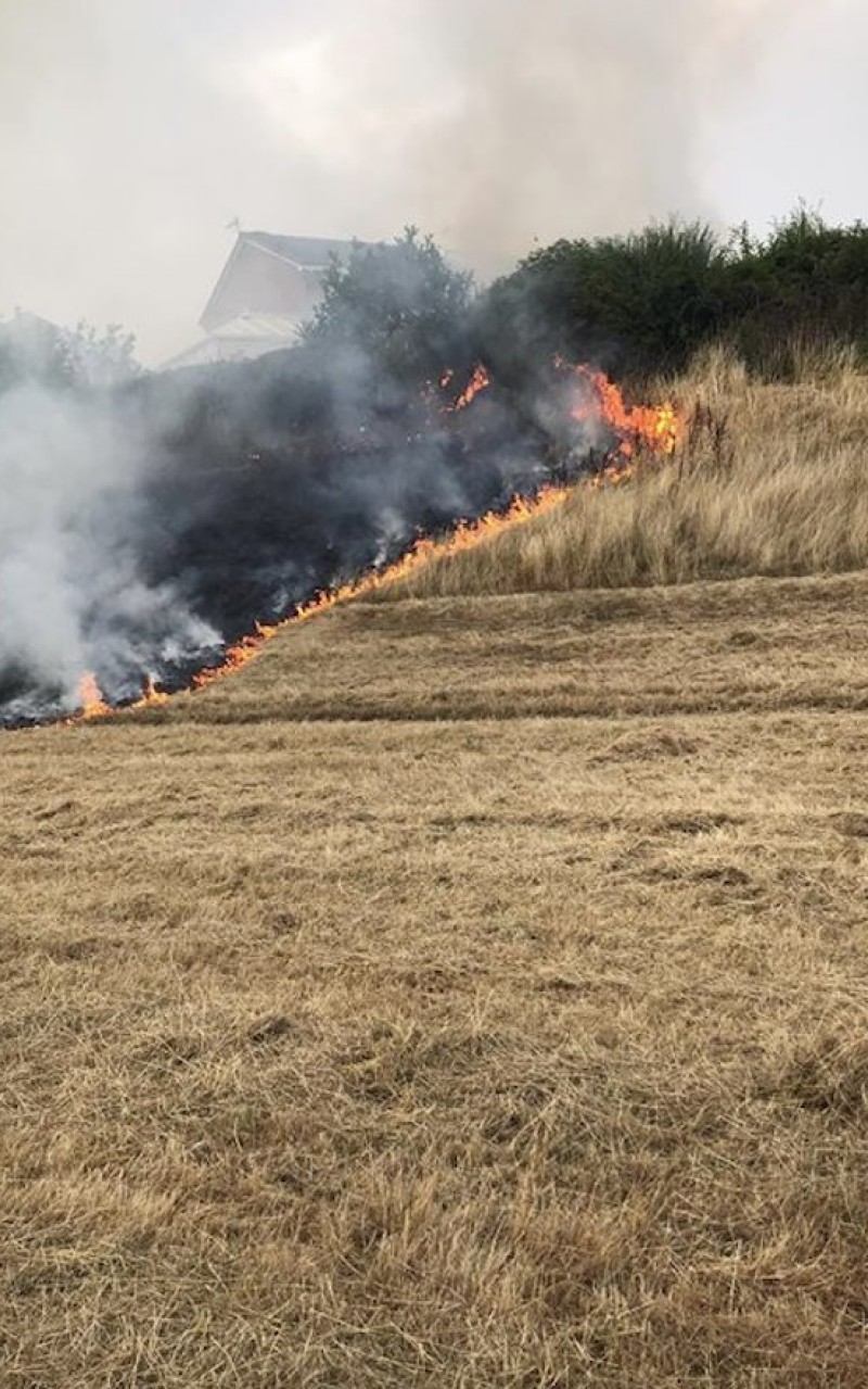 Other image for Brave residents fight flames as blaze spreads from field